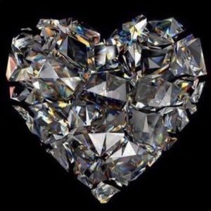 Meet your Posher, Bee